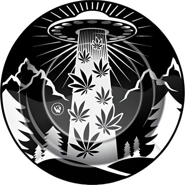 Immagine prodotto Posacenere in metallo 420 ALIENS UFO