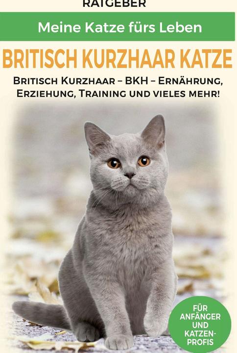 Produktbild Britisch Kurzhaar Katze (Deutsch, Meine Katze fürs Leben)