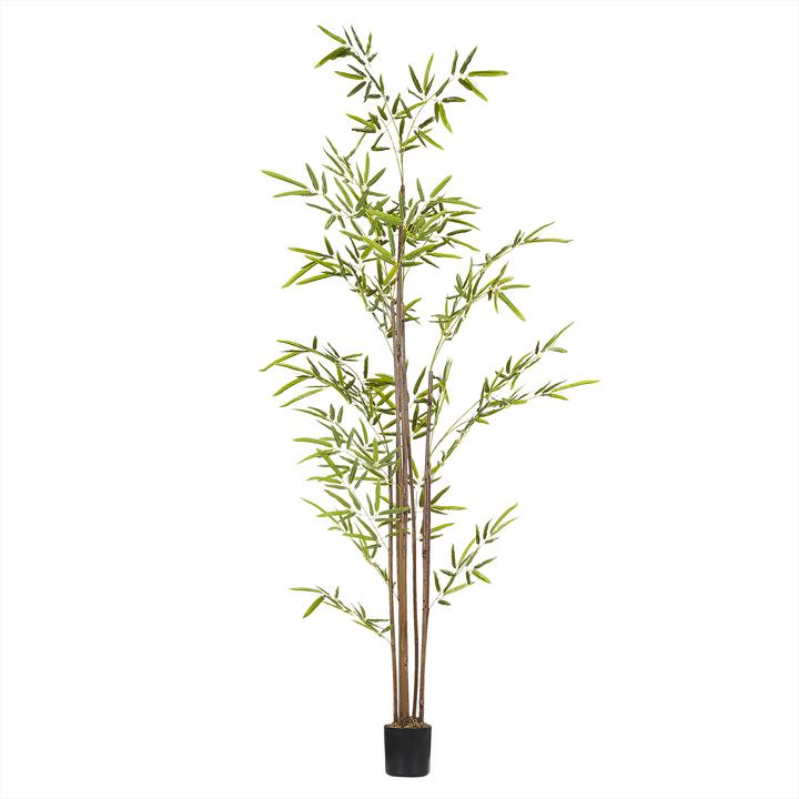Image du produit Beliani Bambusa Vulgaris (160 cm)