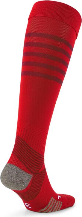 Produktbild Puma teamFINAL Socks (38)