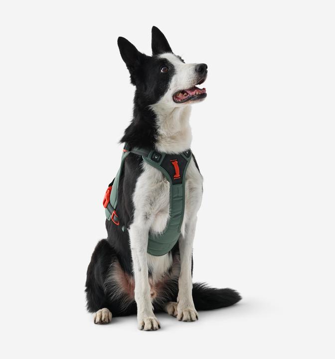Immagine prodotto Caperlan Hundegeschirr Wandern (S, Cane)