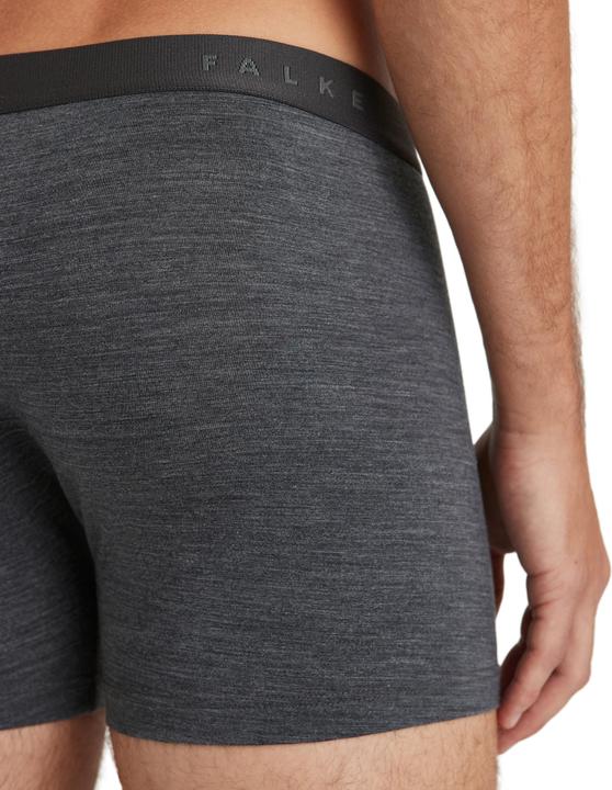 Image du produit Falke Hommes (S)
