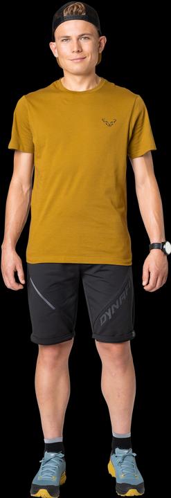 Actual product image Dynafit 24/7 Graphic T-Shirt (L)