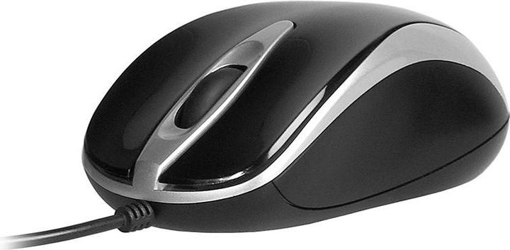 Image du produit Tracer TRAMYS45923 Souris droite USB Type-A Optique 800 DPI (Filaire)