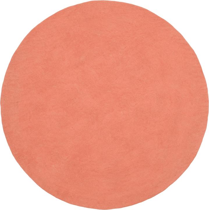 color salmone