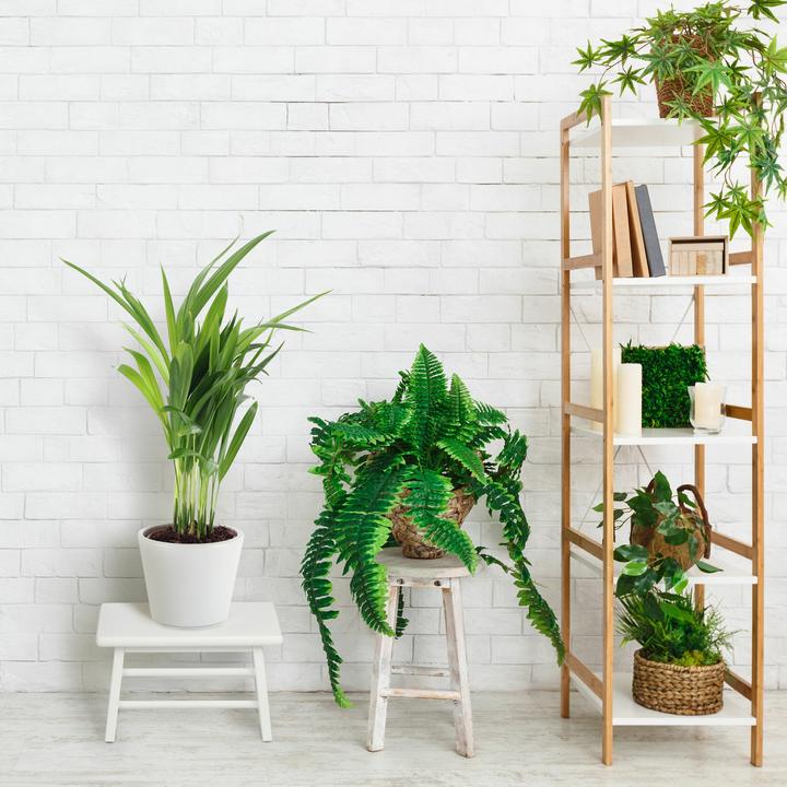Produktbild Relaxdays Fledermauskasten