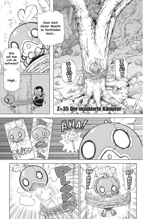 Actual product image Dr. Stone 5 (German, Boichi, 2020)