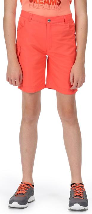 Produktbild Regatta Sorcer Ii Shorts (140)