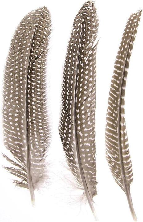 Glorex Perlhuhn Federn