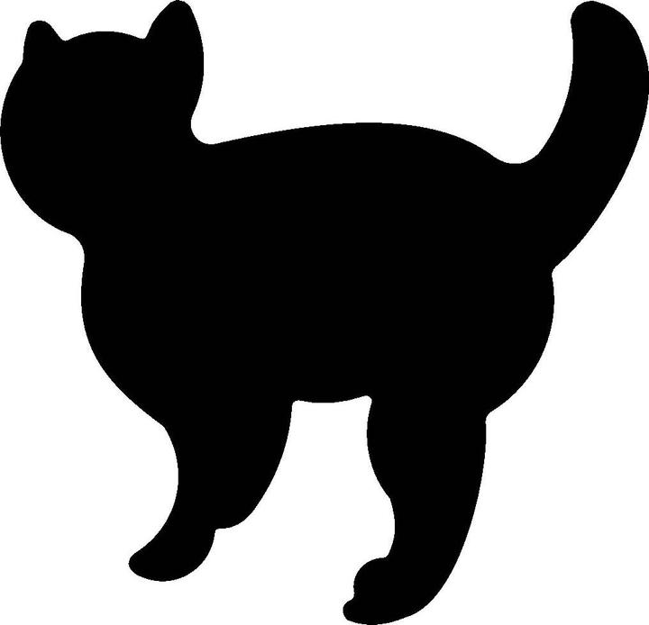 Actual product image Wedo Deco Punch Cat
