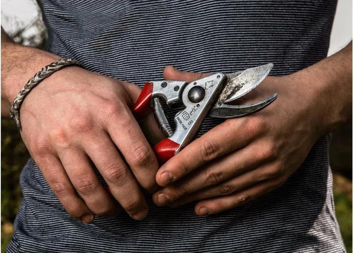 Actual product image Felco 8