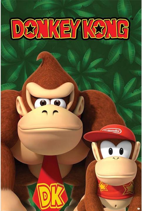 Actual product image Donkey Kong Maxi Donkey & Diddy Kong Poster