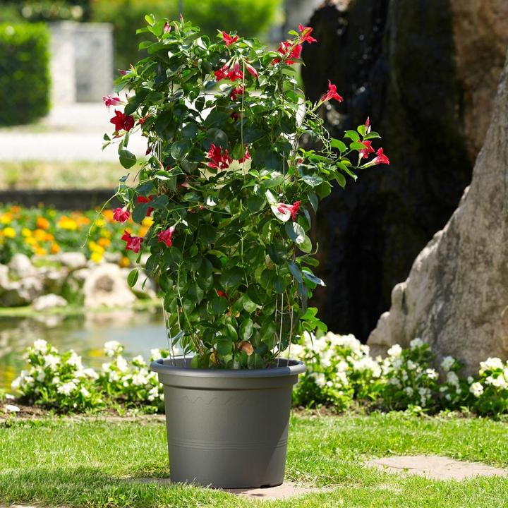 Actual product image Euro3plast Planter (55 cm)