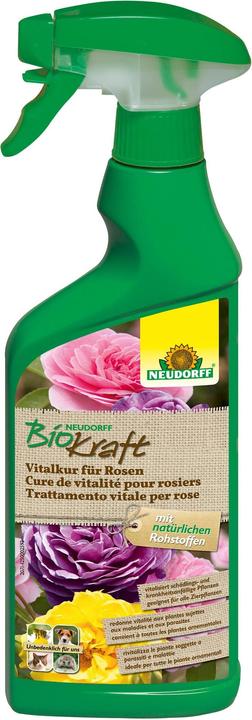 Actual product image Neudorff BioKraft vital cure for roses, 500 ml