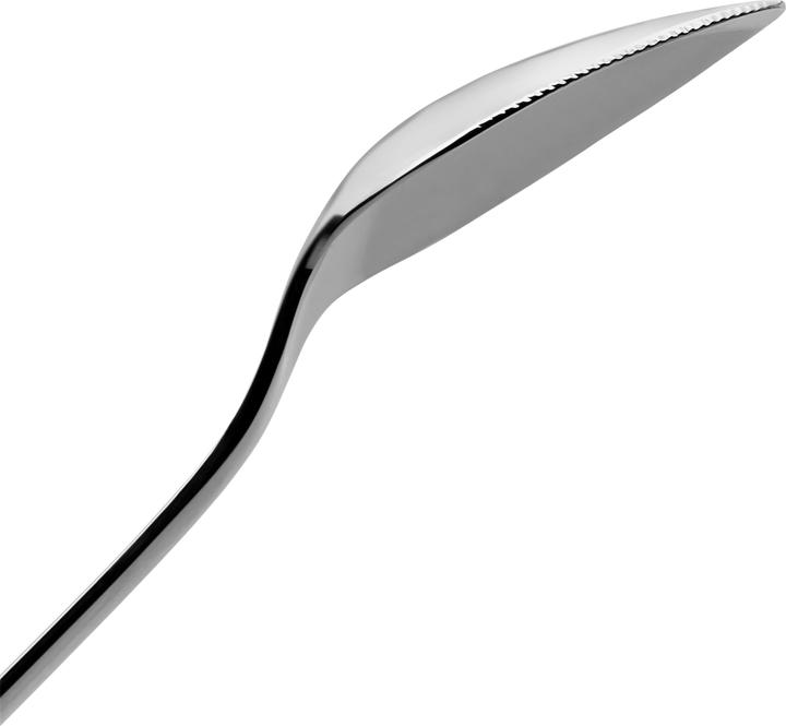 Actual product image WMF Nuova (2 Piece, Scoops)