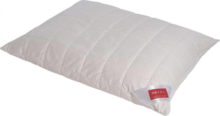 Immagine prodotto Hefel Cuscino Wellness Pino Svizzero (50 x 70 cm)