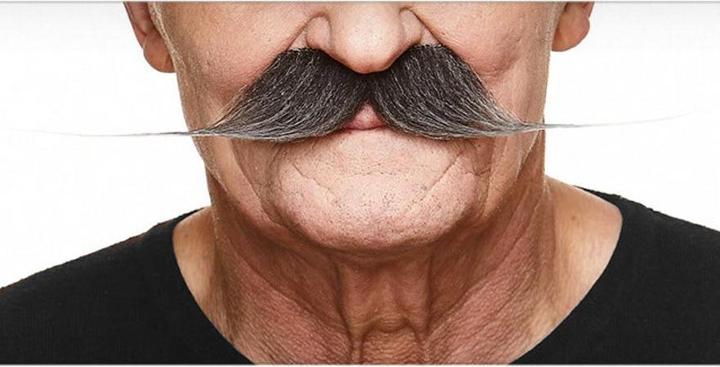 Produktbild Metamorph Englischer Moustache