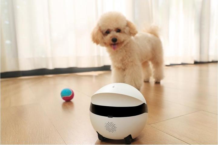 Produktbild Enabot Rola Mini Companion Robot (2304 x 1296 Pixels)