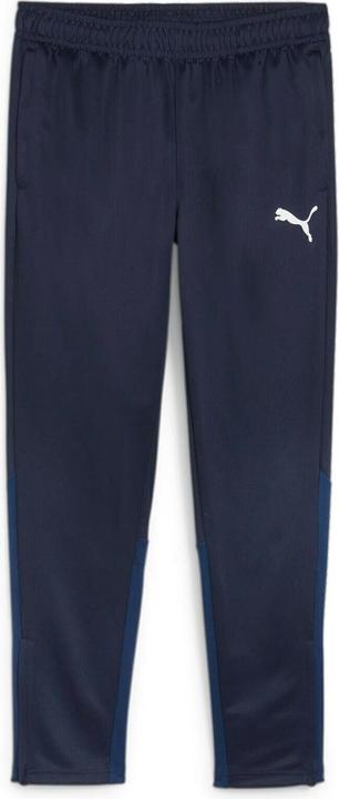 Actual product image Puma teamGOAL Training Pant (S)