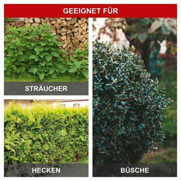 Produktbild Scheppach 1000 W Elektro-Teleskop-Heckenschere inkl. Schultergurt (Elektroheckenschere)