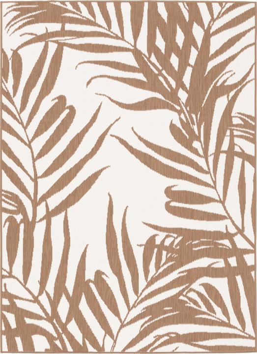Beige Creme