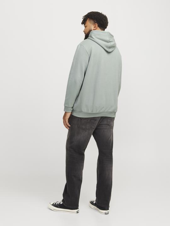 Produktbild Jack & Jones Jjebradley Sweat Hood Noos Pls (3XL)