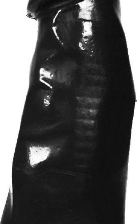 Produktbild All Black Dildo