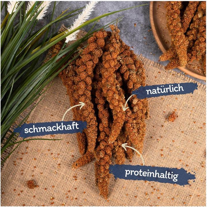 Image du produit Lyra Pet Millet en épi (1 x, 1 kg)