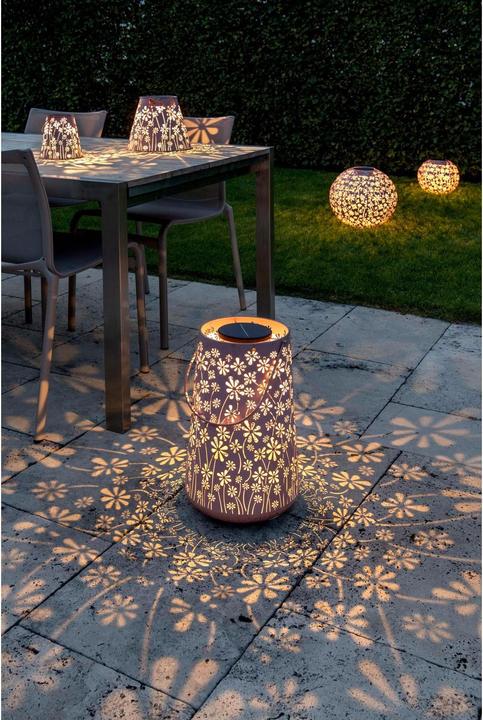 Produktbild STT Antic Daisy