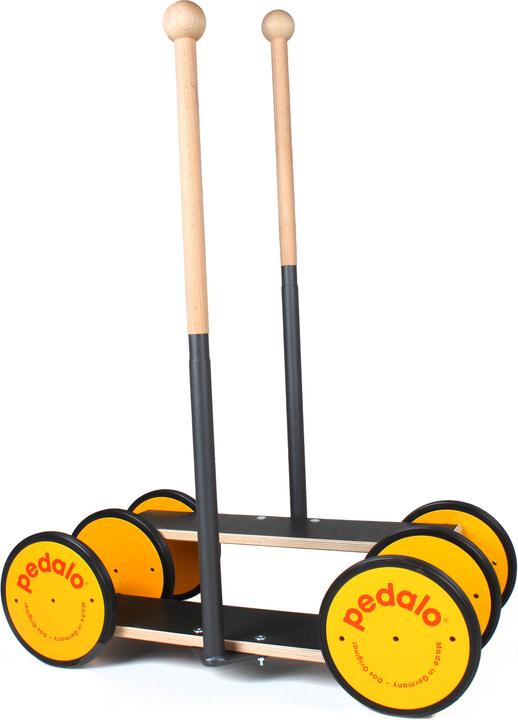 Actual product image Pedalo Combi