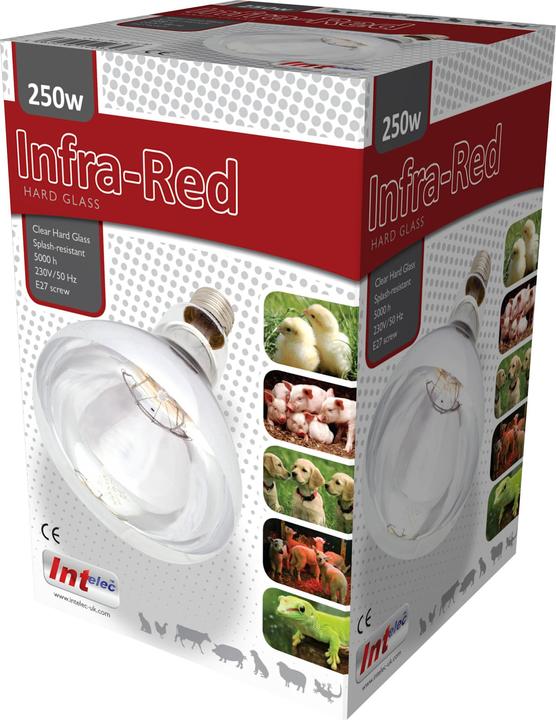 Produktbild Tusk Intelec Infrarotlampe Mit Hartem Glas (250 W)