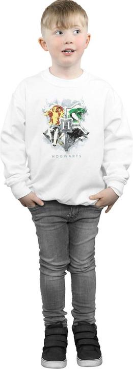 Actual product image Boys Hogwarts Painted Crest Sweatshirt (116)