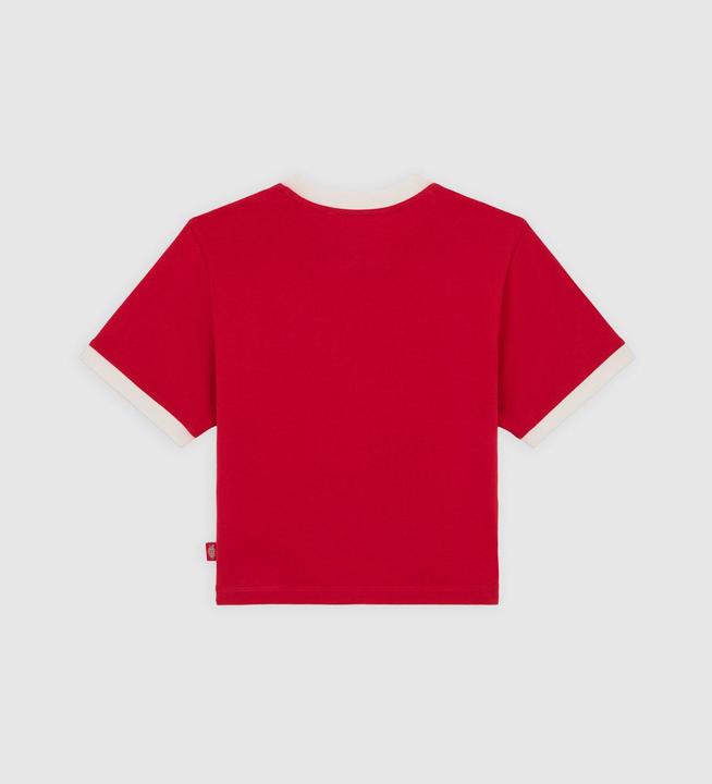 Actual product image Dickies Lewistown Ringer Ss Tee W English Red (L)