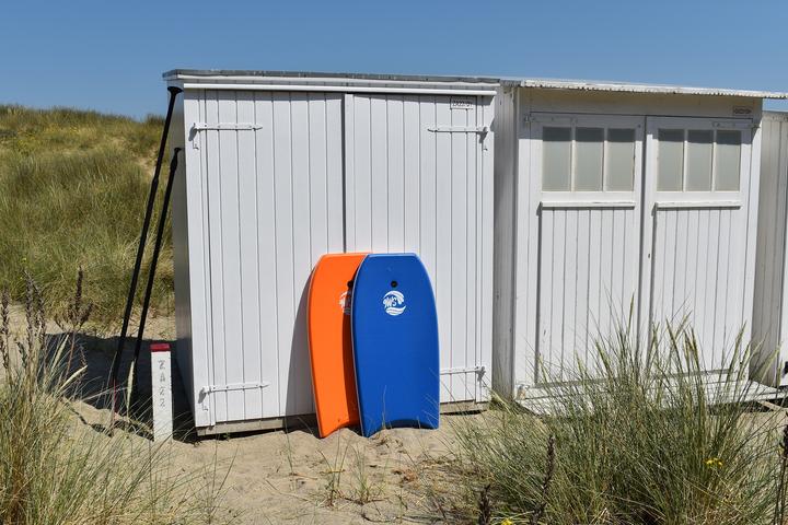 Image du produit 9WS Body Board 42" BLEU