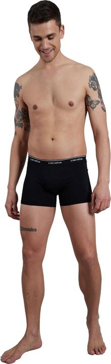 Actual product image Ceceba Boxer shorts Casual Figure-hugging (L, pack of 7)