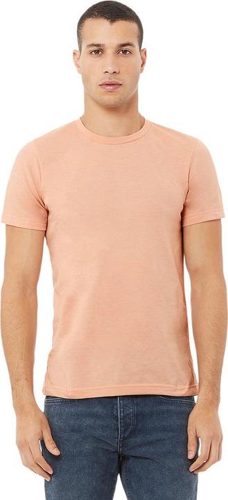 Actual product image Bella Canvas Cvc Tshirt Short Sleeve (M)