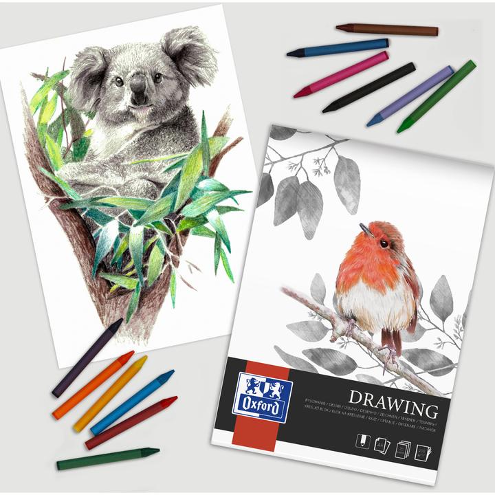 Actual product image Oxford Drawing pad (A4, Plain, Soft cover)