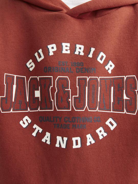 Actual product image Jack & Jones JJELOGO SWEAT HOOD 2 COL 24/25 NOOS MNI (98)