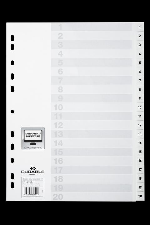 Image du produit Durable Index A4 1-20, avec feuille d'index