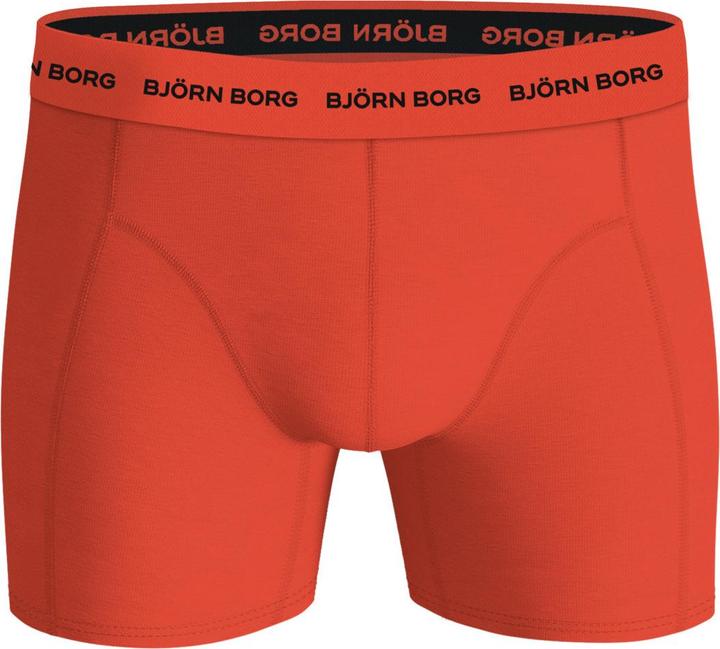 Actual product image Björn Borg Cotton Stretch Boxer 5er Pack - 65527 (XXL, 5-pack)