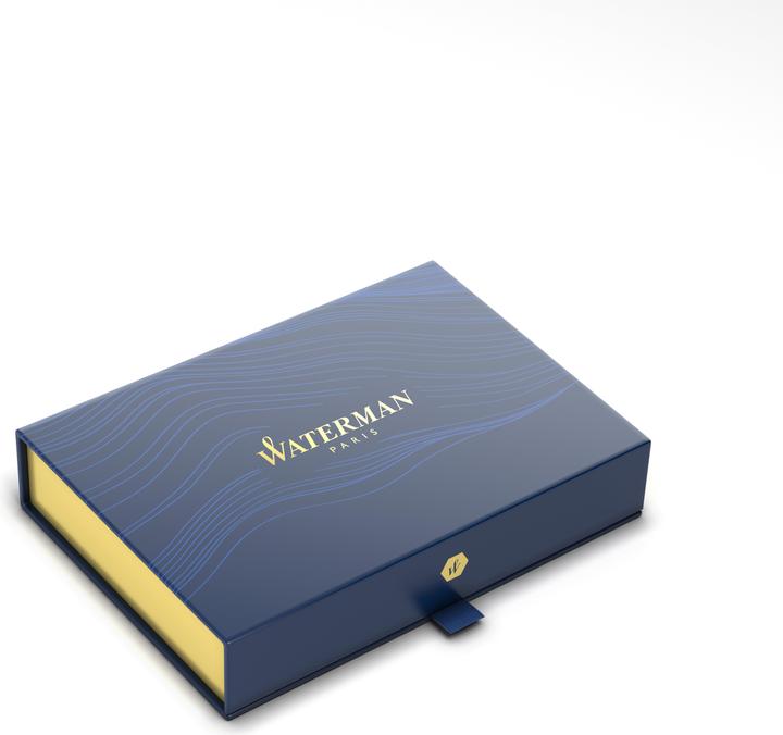 Actual product image Waterman Fountain pen (1 x)