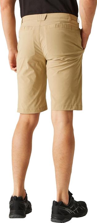 Actual product image Regatta Mens Highton Walking Shorts (44 D)