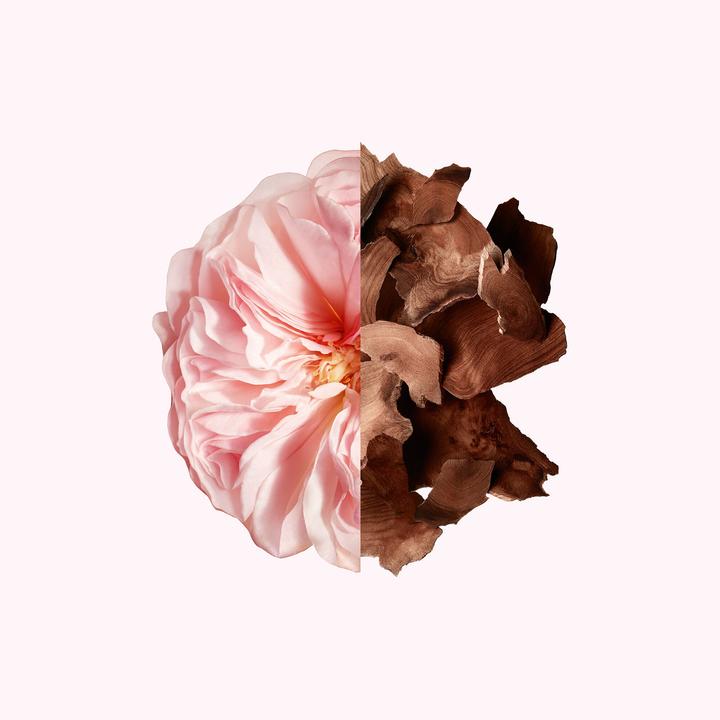Immagine prodotto Givenchy Irresistibile (Eau de parfum, 50 ml)