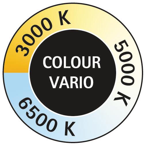Produktbild Maul LED-Tischleuchte (320 lm)
