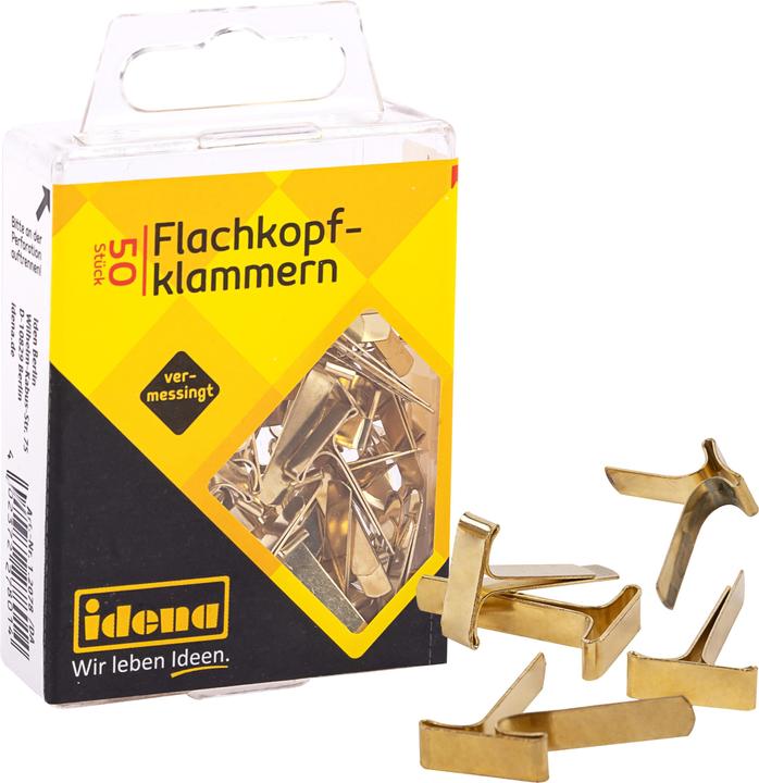 Actual product image Idena Flat head staples 50pcs., brass-plated (50 x)