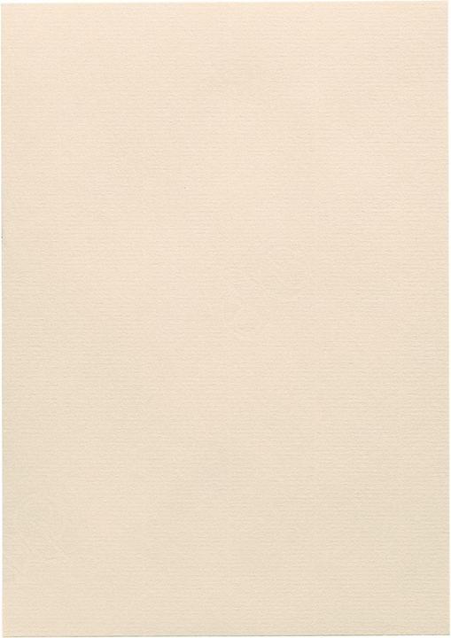 Actual product image Artoz 1001 A4 220g ivory 5 boxes (220 g/m², 5 x)