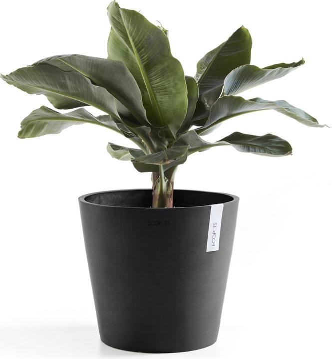 Actual product image Ecopots Amsterdam + Wasserbehälter (30 cm)