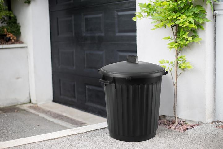 Actual product image EDA Gartenabfallbehälter mit Deckel 80 l (80 l)