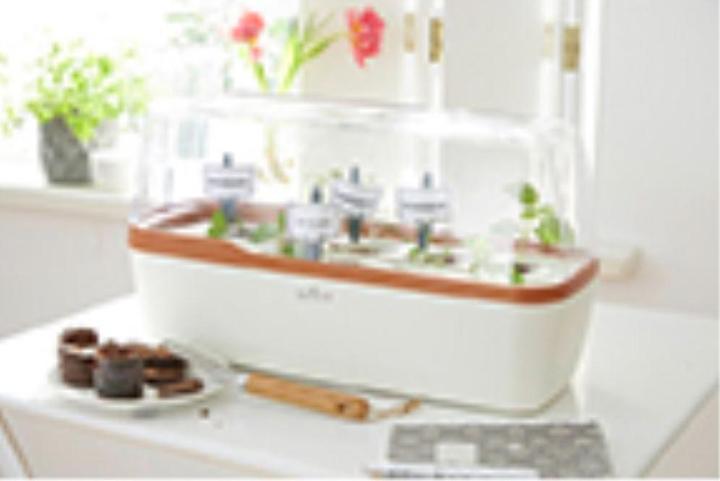 Actual product image Romberg Indoor greenhouse
