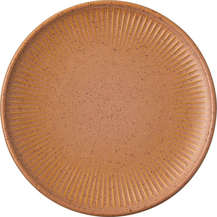 Immagine prodotto Thomas Piastra piatta della Terra (1 x, 16.60 cm)